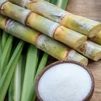 Cane Sugar